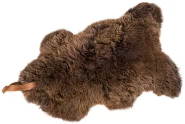 Image without description