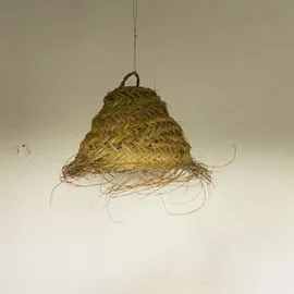 Image without description