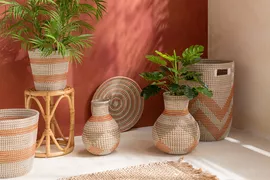 Image without description