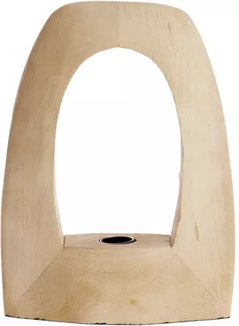 Image without description