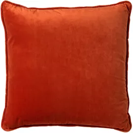 Image without description