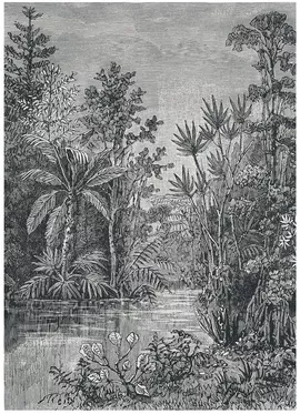 Image without description