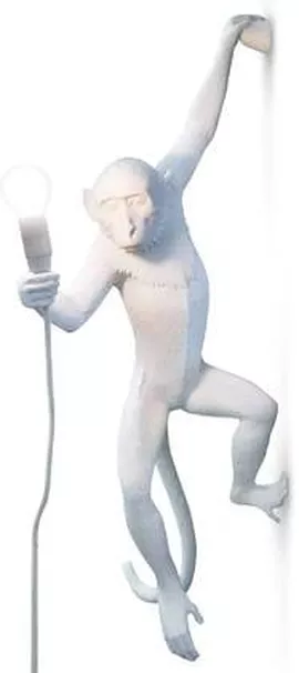 Image without description