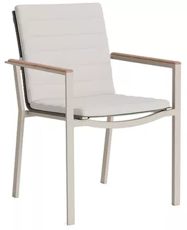 Image without description