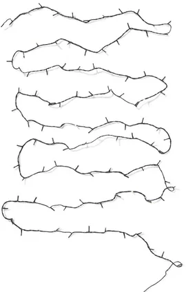 Image without description