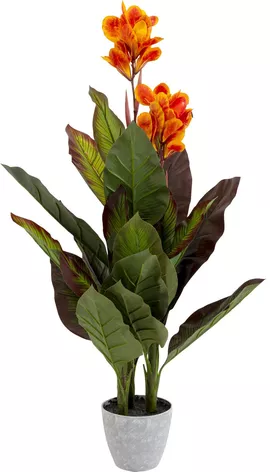 Image without description