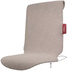 Image without description