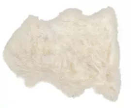 Image without description