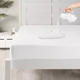 Image without description