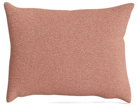 Image without description