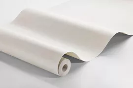 Image without description