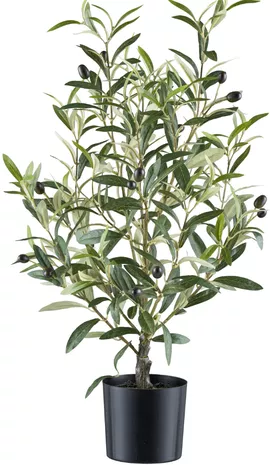 Image without description