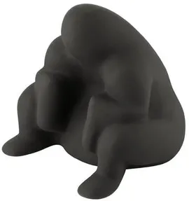 Image without description