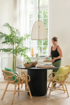 Image without description