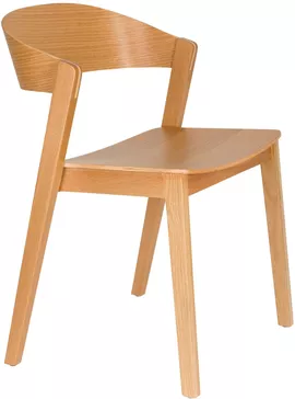 Image without description