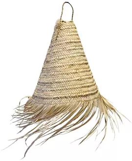 Image without description