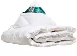 Image without description