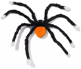 Image without description