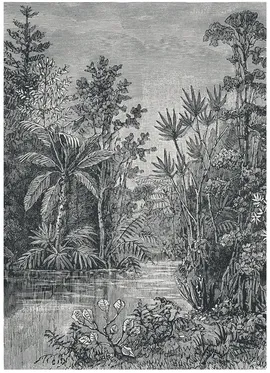 Image without description