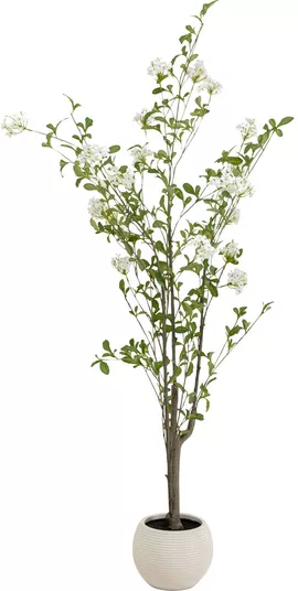 Image without description