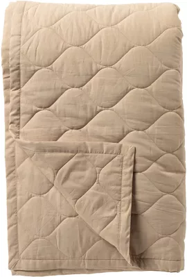 Image without description