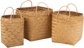 Image without description