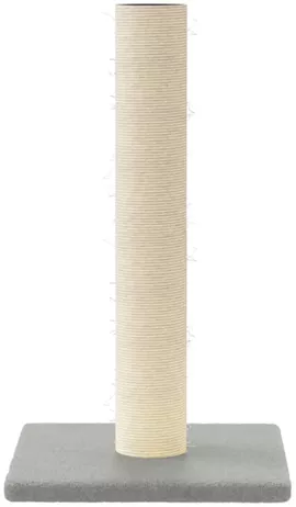 Image without description