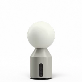 Image without description