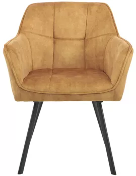 Image without description