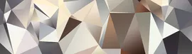 Image without description