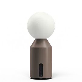 Image without description