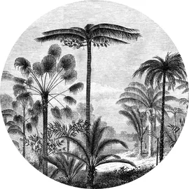 Image without description