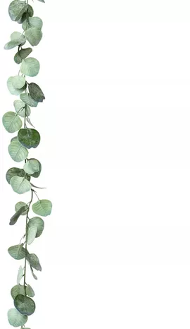 Image without description