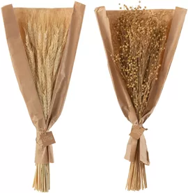 Image without description