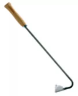 Image without description