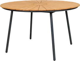 Image without description