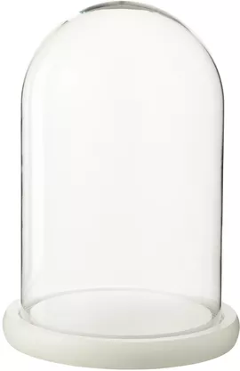 Image without description