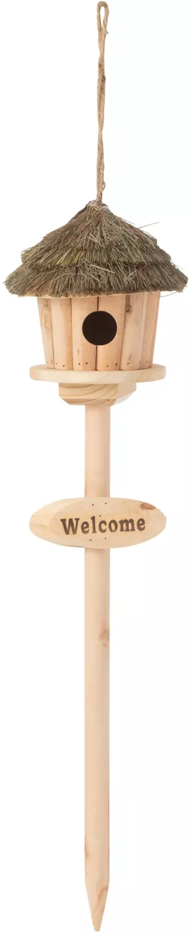 Image without description