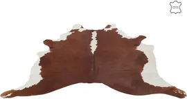 Image without description