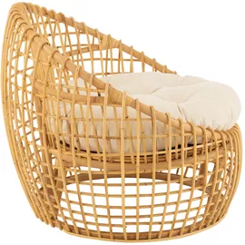 Image without description