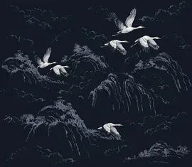 Image without description