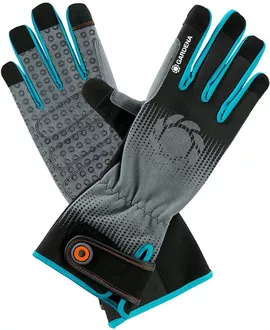 Image without description