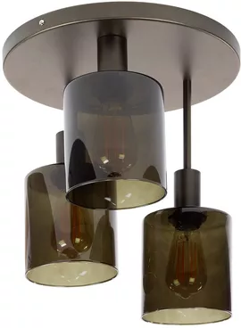 Image without description