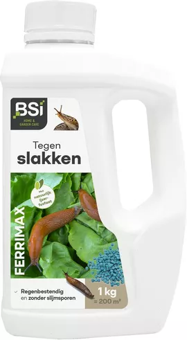 Image without description