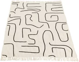 Image without description