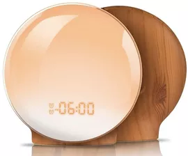 Image without description