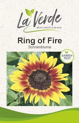 Image without description