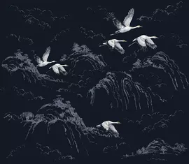 Image without description
