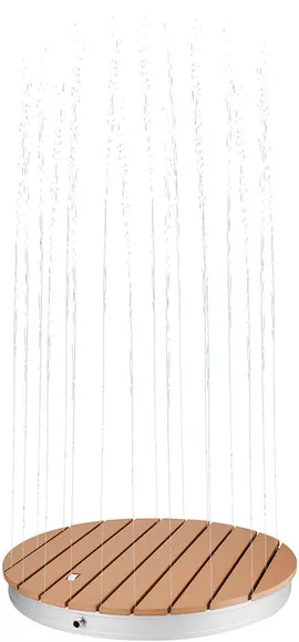 Image without description