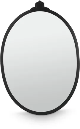 Image without description